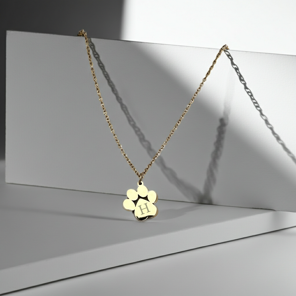 Gold necklace with a paw-shaped pendant on a reflective surface